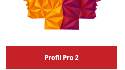 Profil Pro 2 ® - image 1