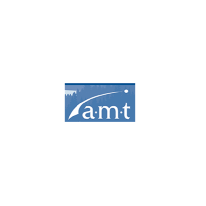 A-M-T Management Performance AG logo