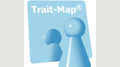 Trait-Map® (Five Traits Inventory) - image 0